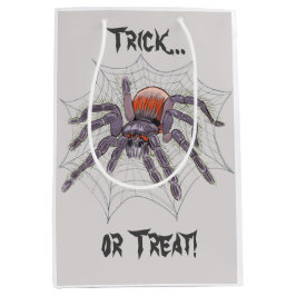 Spin in Web voor Halloween Fun en Creepy Medium Cadeauzakje