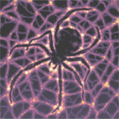 Spin Kosmisch Web, Halloween Galaxy of Horrors Sticker (Voorkant)