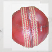 Spin Master's Sphere: een leuke linker Spin Cricke (Voorkant / Achterkant)