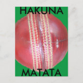 Spin Master's Sphere: een leuke linker Spin Cricke Briefkaart (Voorkant)