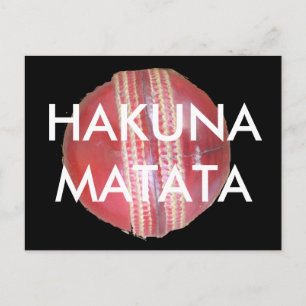 Spin Master's Sphere: een leuke linker Spin Cricke Briefkaart