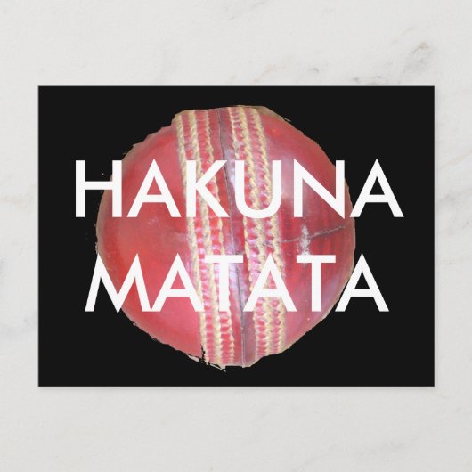 Spin Master's Sphere: een leuke linker Spin Cricke Briefkaart (Voorkant)