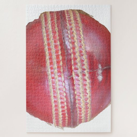 Spin Master's Sphere: een leuke linker Spin Cricke Legpuzzel (Verticaal)