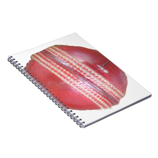 Spin Master's Sphere: een leuke linker Spin Cricke Notitieboek (Rechterzijde)