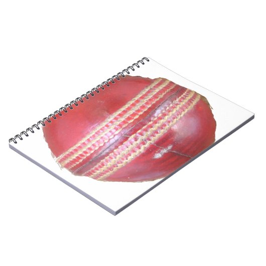 Spin Master's Sphere: een leuke linker Spin Cricke Notitieboek (Linkerzijde)