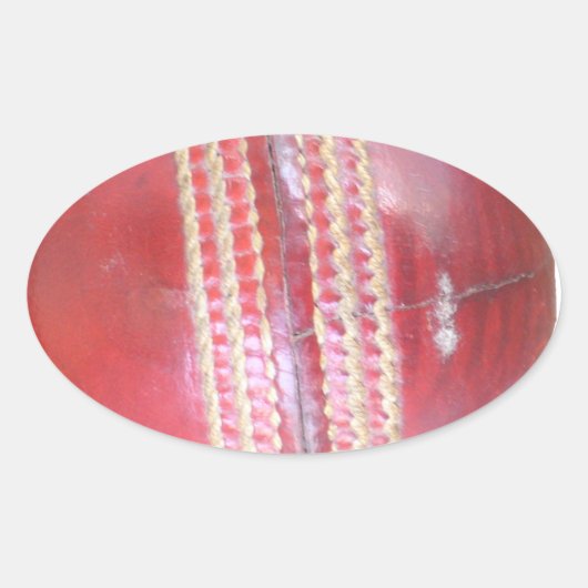 Spin Master's Sphere: een leuke linker Spin Cricke Ovale Sticker (Voorkant)