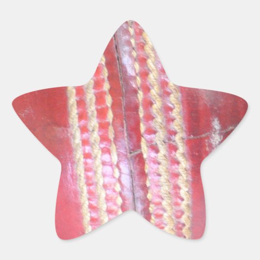 Spin Master's Sphere: een leuke linker Spin Cricke Ster Sticker (Voorkant)