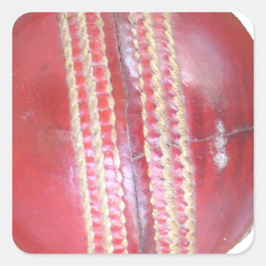 Spin Master's Sphere: een leuke linker Spin Cricke Vierkante Sticker (Voorkant)