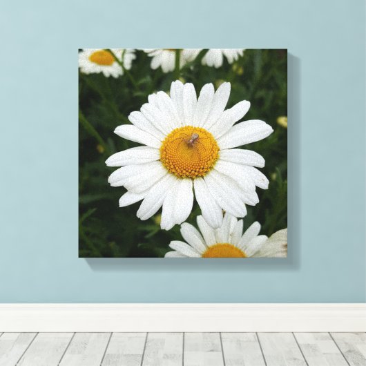 Spin op Daisy Canvas Afdruk (Insitu (Houten vloer))
