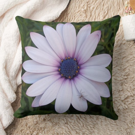 Spin op een roze bloem - Sierkussen (Deken)