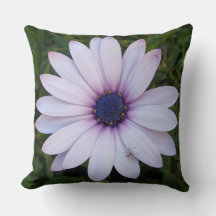 Spin op een roze bloem - Sierkussen