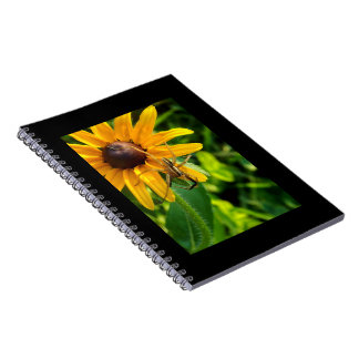 Spin op een zonnebloem 6.5x8.57 Spiraal Notitieboe Notitieboek