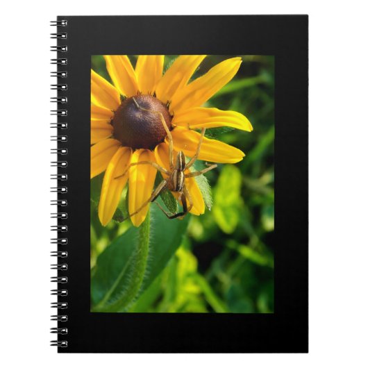 Spin op een zonnebloem 6.5x8.57 Spiraal Notitieboe Notitieboek (Voorkant)