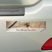 Spin op weerslef bumpersticker (Op auto)