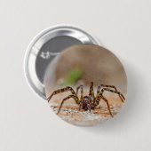 spin ronde button 5,7 cm (Voorkant /achterkant)