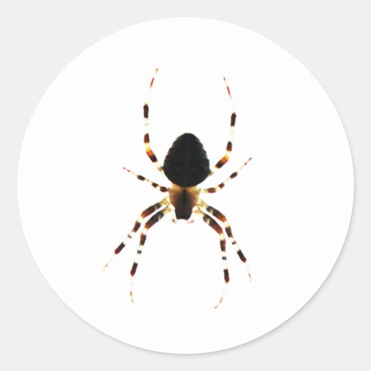 Spin st arc3 ronde sticker (Voorkant)