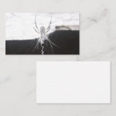 Spin Visitekaartjes (Voorkant / Achterkant)