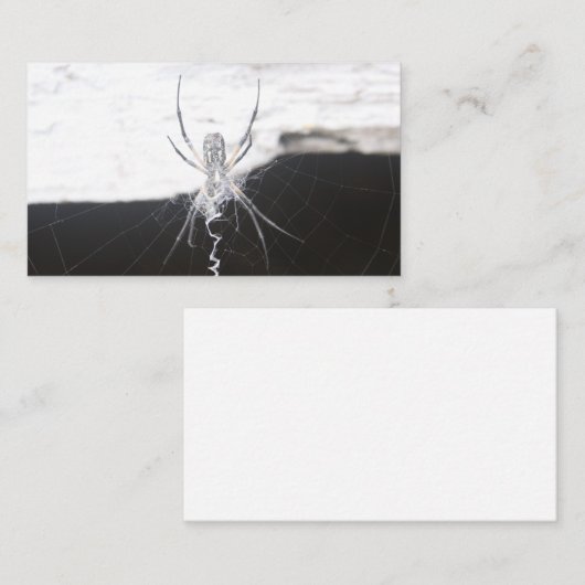 Spin Visitekaartjes (Voorkant / Achterkant)