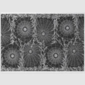 spin Webs Halloween B&W-weefselpapier Tissuepapier (Voorkant)