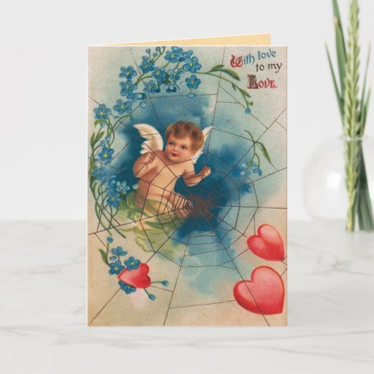  spin-webValentijnsdag Feestdagen Kaart (Voorkant)