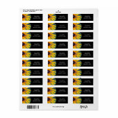 Spin Zittend op een Rudbeckia Etiket (Full Sheet)