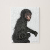 Spinaap met rode zijde - Ateles paniscus (3) Legpuzzel (Verticaal)