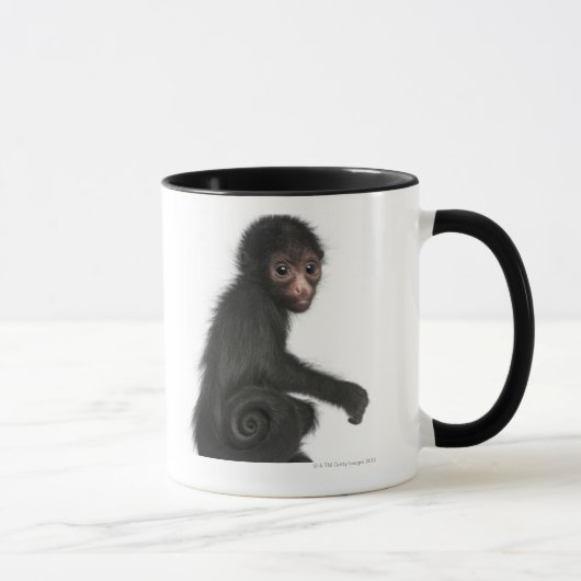 Spinaap met rode zijde - Ateles paniscus (3) Mok (Rechts)