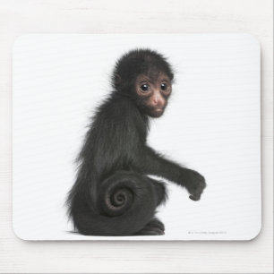 Spinaap met rode zijde - Ateles paniscus (3) Muismat