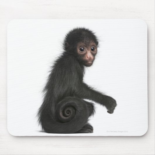 Spinaap met rode zijde - Ateles paniscus (3) Muismat (Voorkant)