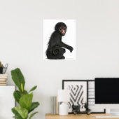 Spinaap met rode zijde - Ateles paniscus (3) Poster (Thuiskantoor)