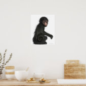Spinaap met rode zijde - Ateles paniscus (3) Poster (Keuken)