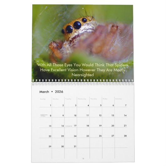 spinachtige kalender (Mar 2026)