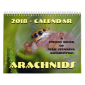 spinachtige kalender (Hoes)