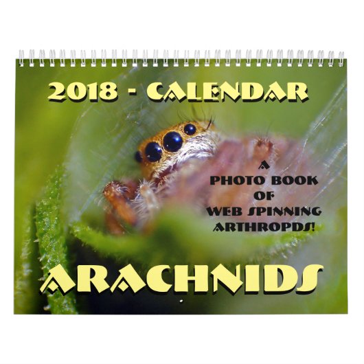 spinachtige kalender (Hoes)