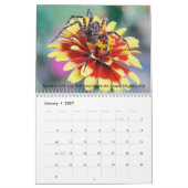 spinachtige kalender (Jan 2027)
