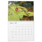 spinachtige kalender (Feb 2027)