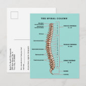 Spinal Column Anatomical Chiropractic Reactivation Briefkaart (Voorkant / Achterkant)