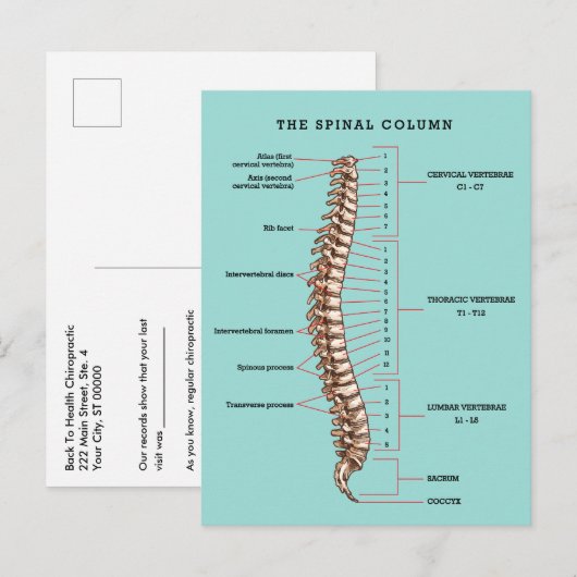 Spinal Column Anatomical Chiropractic Reactivation Briefkaart (Voorkant / Achterkant)