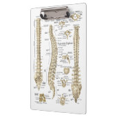 Spinale anatomie Artsen Office Klembord (Links)