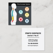 Spinale anatomie Chart Square Chiropractic Vierkante Visitekaartje (Voorkant / Achterkant)