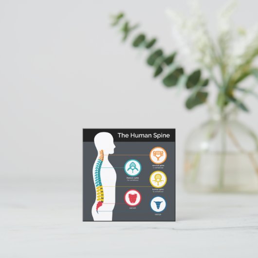 Spinale anatomie Chart Square Chiropractic Vierkante Visitekaartje (Staand voorkant)