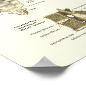 Spinale anatomie Medical Chiropractisch Poster (Hoek)