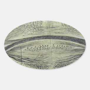 Spinale neuronen van Cajal - 5 Ovale Sticker