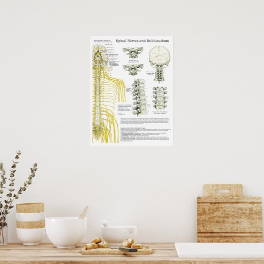 Spinale zenuwen en subluxe Chiropraktijk Poster (Keuken)