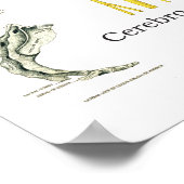 Spinale zenuwen en subluxe Chiropraktijk Poster (Hoek)