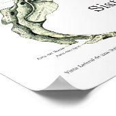 Spinale zenuwen Subluxe Chiropraktijk Poster (Hoek)