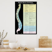 Spinale zenuwfunctie Poster Chiropractisch (Keuken)