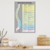 Spinale zenuwfunctie Poster Chiropractisch (Keuken)