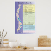 Spinale zenuwfunctie Poster Chiropractisch (Keuken)