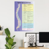 Spinale zenuwfunctie Poster Chiropractisch (Thuiskantoor)